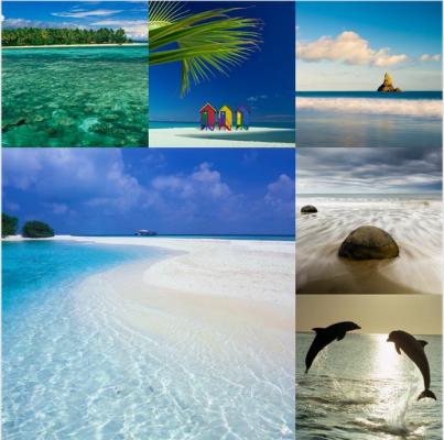 Aperçu d'un collage d'échantillons imprimés avec différentes photos
