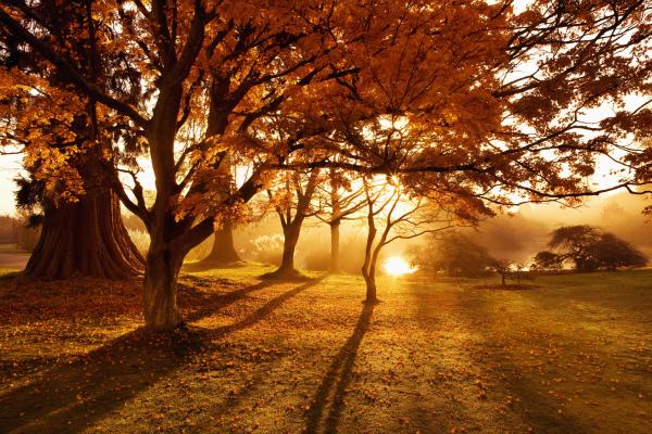Photographier en couleurs à l'automne