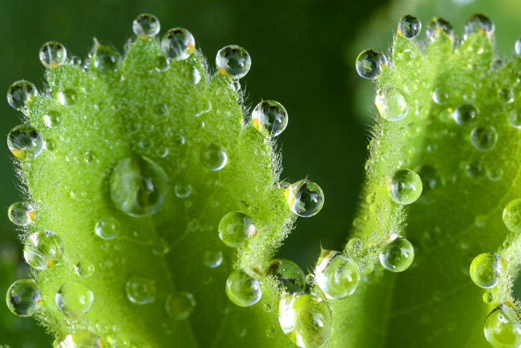 printolino-300dpi-1024x684