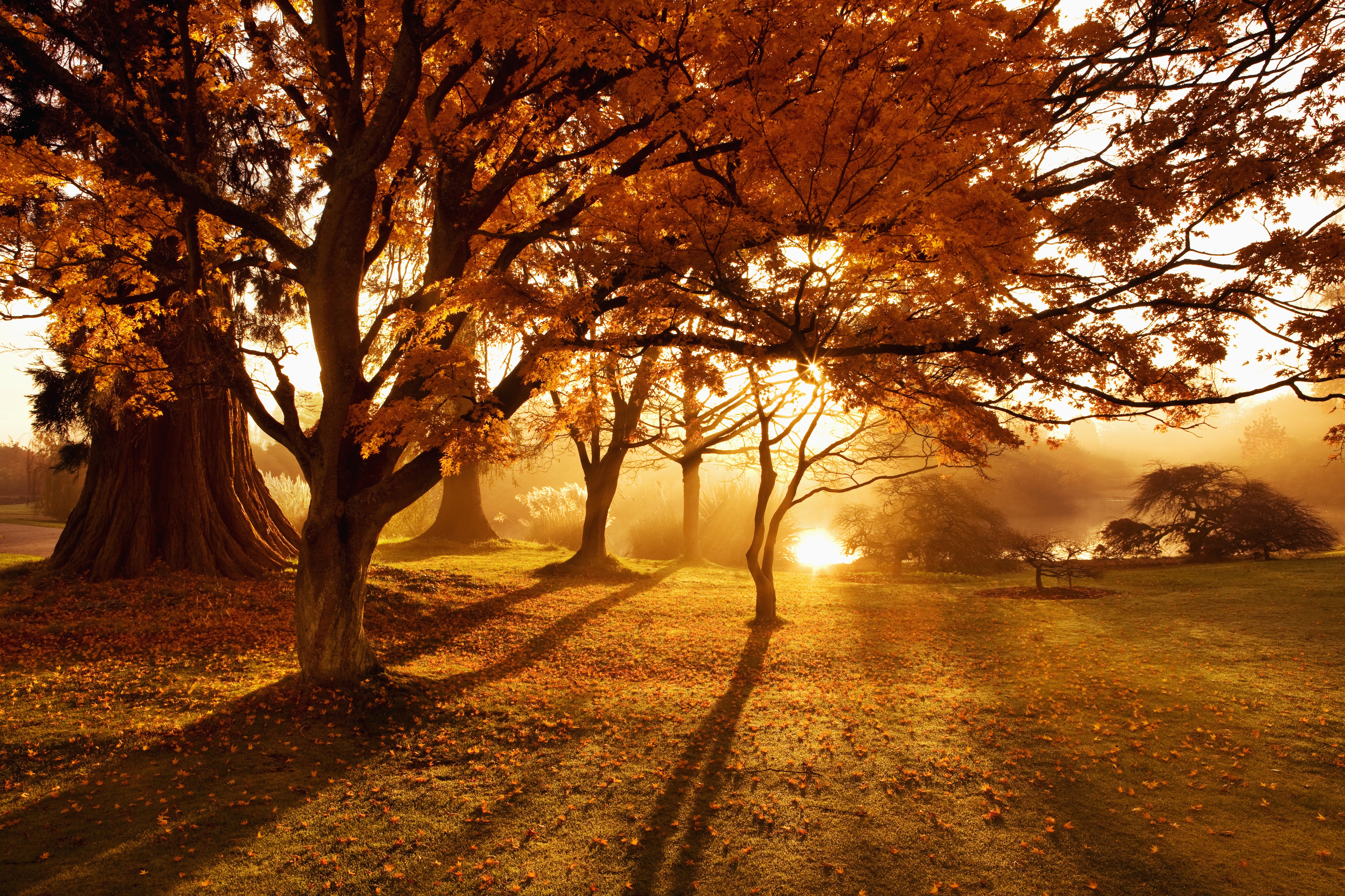 Farbenfrohes Fotografieren im Herbst