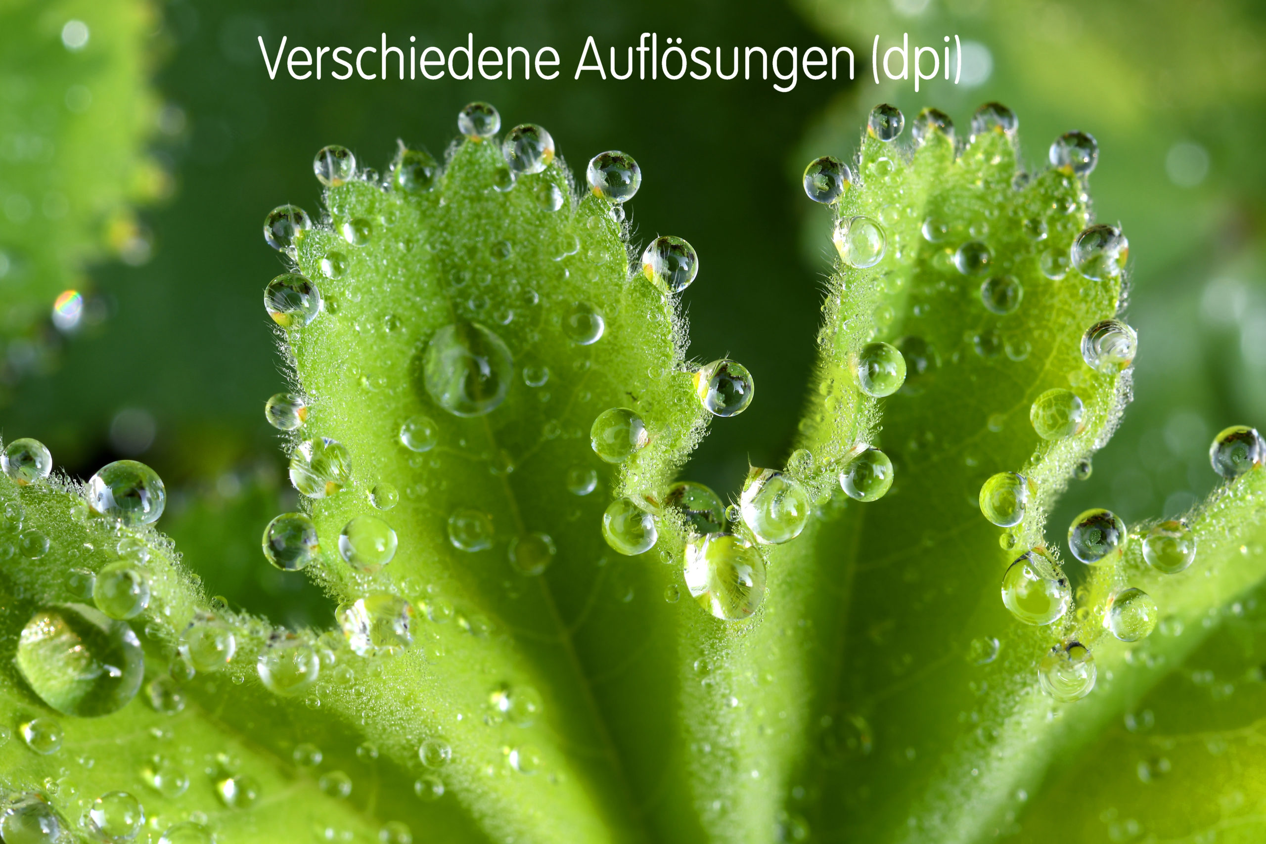 Vergleich verschiedener Auflösungen